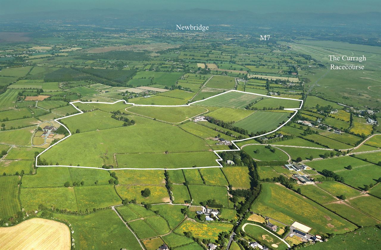 Renowned 250ac stud farm on the Curragh with something for everyone comes to the market for €7m