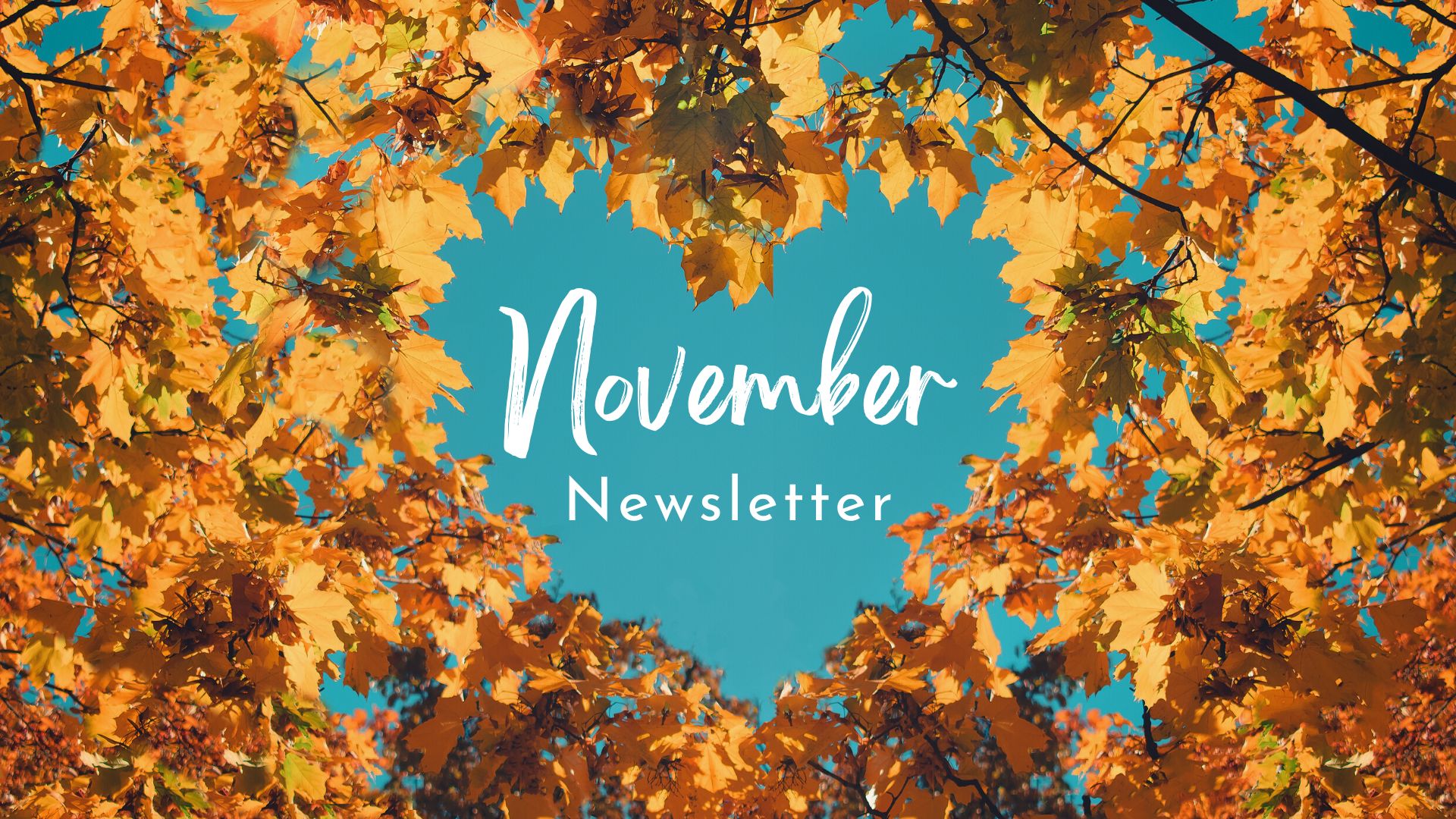 November Newsletter